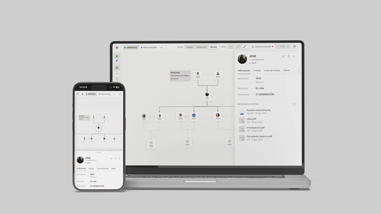 Mockup del software Orígenes